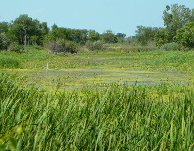 CanadianWater's tweet photo. We are at the National Nutrient Reuse &amp; Recovery Forum today! Hosted by International Institute for Sustainable Development in partnership w @environnementca &amp; @ONenvironment   @IISD_news https://t.co/SihjoIGQ7a