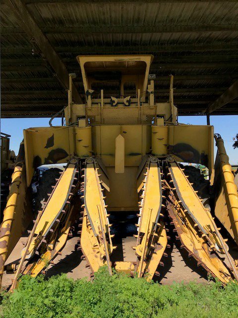 ADMAgriculture's tweet image. Great pics from a Louisiana sugar cane farm - #facts land $5k-$7k an acre, 80" annual rainfall, sugar cane planted &amp;amp; harvested 18m later, plant harvested 3-4 times before being replanted...