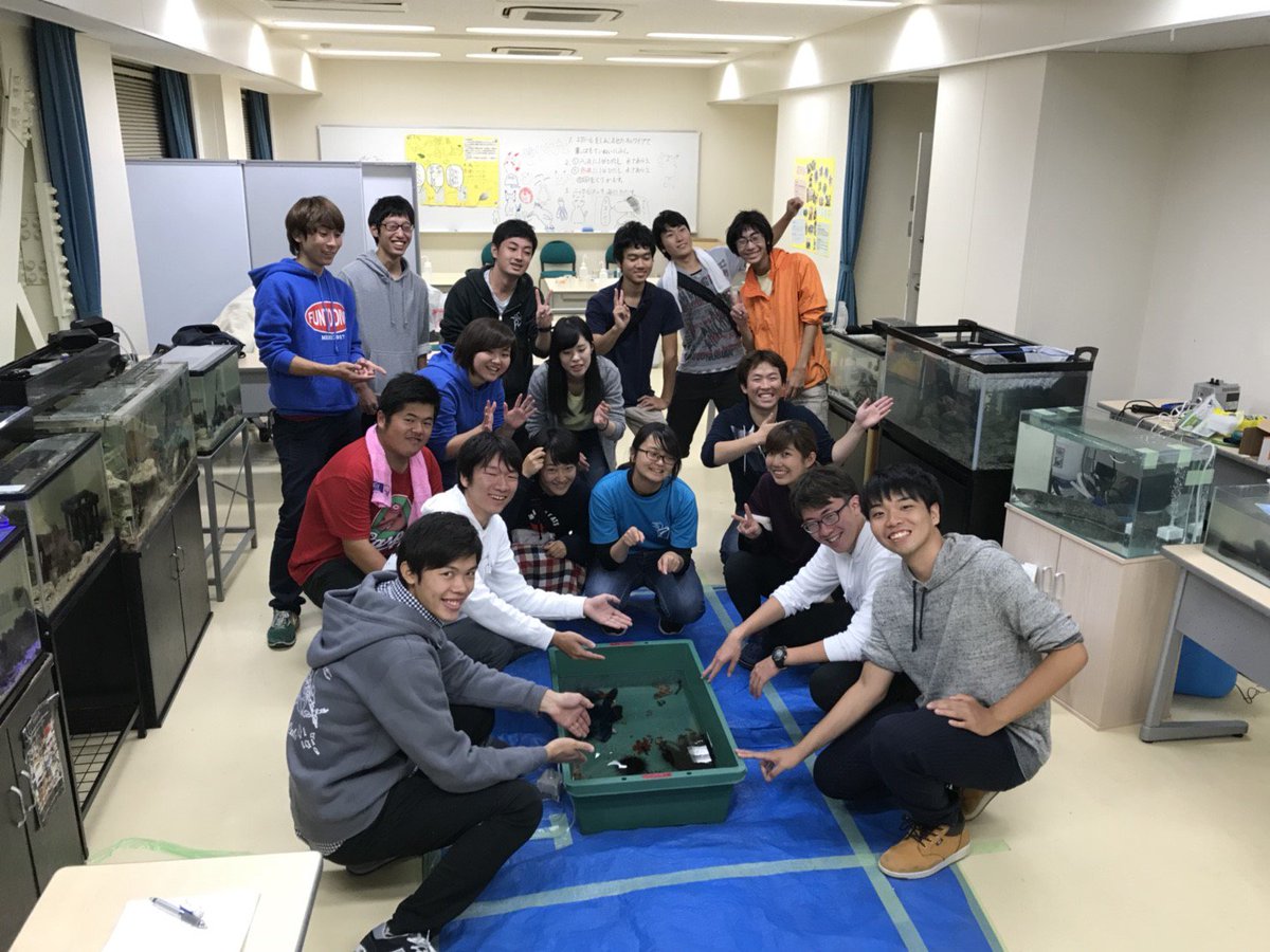 鹿児島大学水産学部 鹿児島大学水産学部