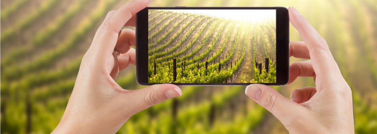 Le #numérique s'installe partout à #Bordeaux ! Alain Sutre détecte en 2014 ce besoin d'outils de traçabilité dans le domaine viticole.
Il a ainsi fondé <a href="/Process2Wine/">Process2Wine</a>, une solution permettant un suivi total de la production &amp; des outils de #gestion 
➡️ bpifrance.fr/A-la-une/Actua…