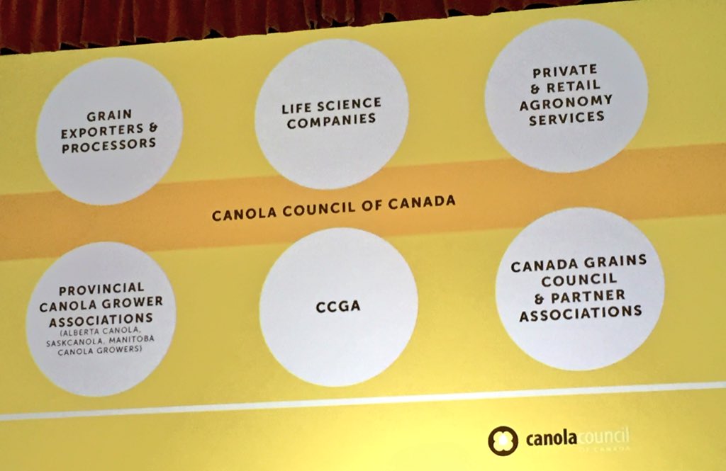 EdWhiteMarkets's tweet image. Everson describing the “priorities review process” that is getting input from members about what and how CCC should do things. Everson describes “legitimate” concerns that some members have and says organization committed to dealing with them #cccps