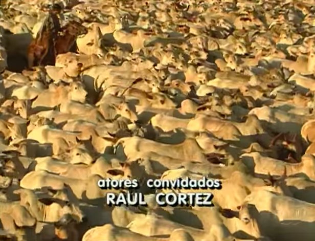 raphaevanges's tweet photo. Você já parou pra pensar que a essa altura da vida TODOS os bois da abertura de “O Rei do Gado” já viraram churrasco? https://t.co/RWbukoIU0L