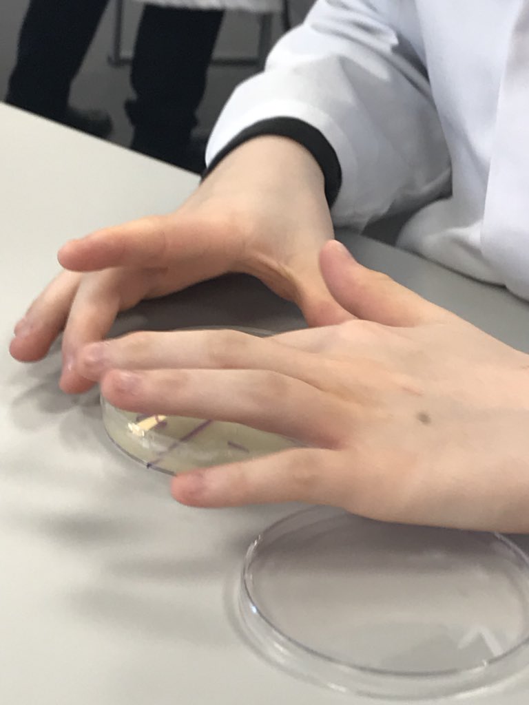 CornbankPS's tweet photo. P7 boys have enjoyed their visit to The Roslin Institute working with @EBSOClab learning all about bacteria, how it spreads and how we can prevent it from spreading #FarmDetectives 🔦🔬🌡 https://t.co/IHoolNyNW9