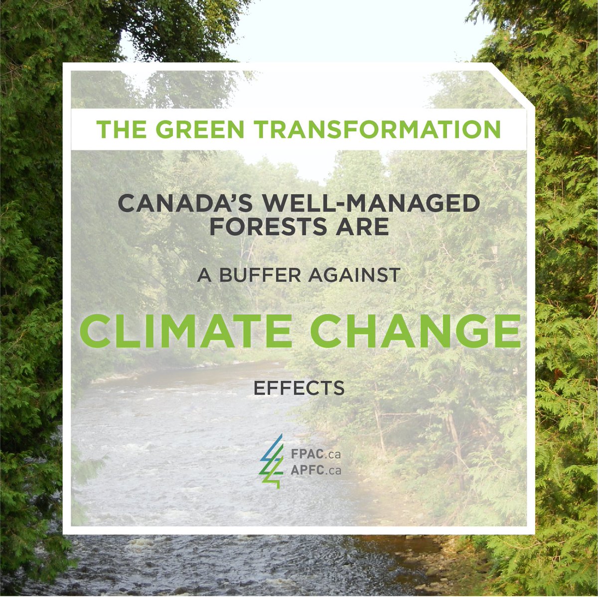 FPAC_APFC's tweet image. Canada’s well-managed forests are a buffer against climate change effects. #CanadaGrowsOnTrees