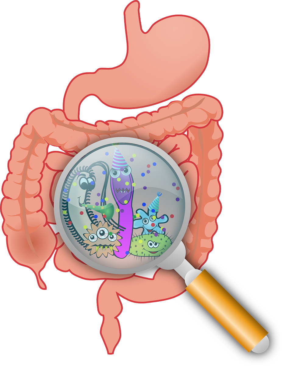 NutriAssistant's tweet photo. Do obese people need dietitians or new bacteria? Or a new alliance between them?
For your clients to read: https://t.co/SOVPlcPQAg
For the professional in you: https://t.co/ouHKKOrpNc
For the researcher in you: https://t.co/Hc65pZMIxI
#dietitian #RD2B #RDchat https://t.co/OUvABqhpV3