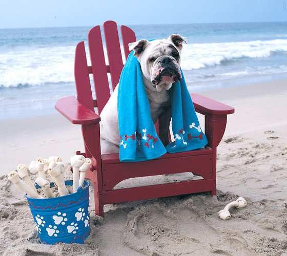 DUWritingWorks's tweet image. Happy Spring Break! We close at around 4:30pm on Friday and will open again on Monday, March 19. If you need an appointment after break, please visit library.drake.edu/writing-worksh…