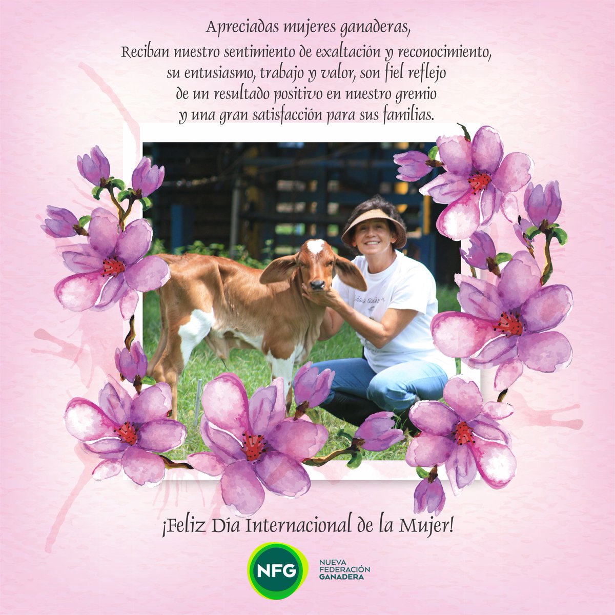 NFG de Colombia tweet media
