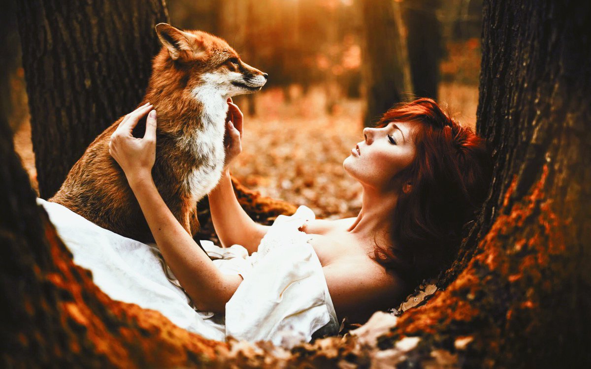restfoxmadrid's tweet photo. Desde #FOXbyDiegoFraile nuestro pequeño homenaje a todas aquellas mujeres que de forma anónima y no tan anónima han conseguido que el mundo no solo sea mejor sino más justo, y para todas aquellas que luchan para que no sea suficiente con esto. ♀🙋‍♀ https://t.co/3W0NSNe2f5
