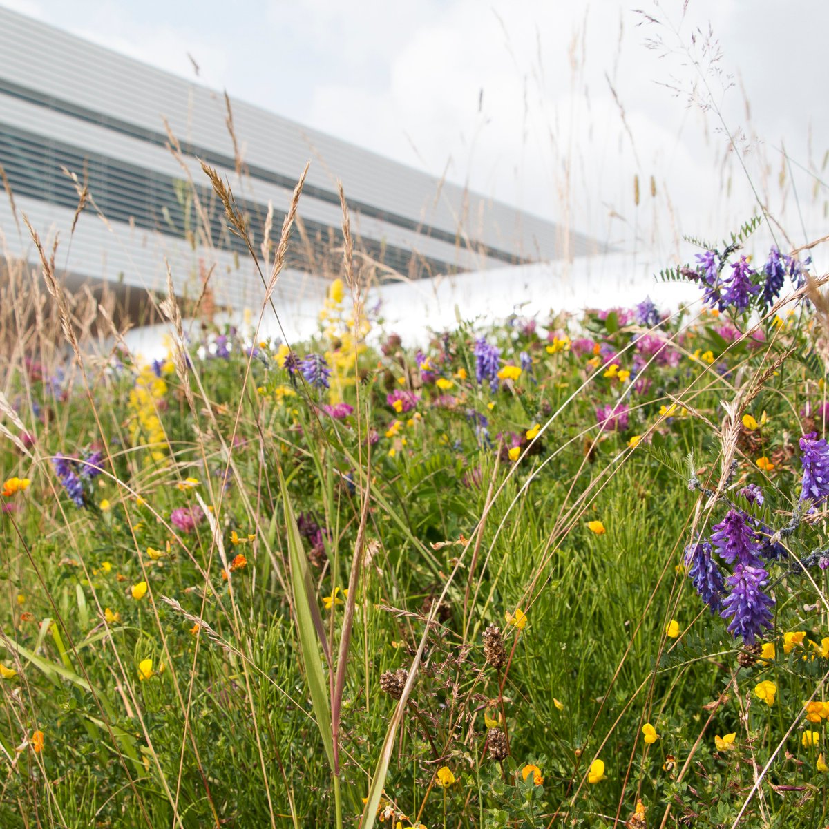 For students – get to know MAX IV better this summer. Apply for the summer school by MAX IV and <a href="/chalmersuniv/">Chalmers University of Technology</a> before March 16th (14:00 CET). May 21th to 29th in Höör/Lund – Sweden. Read more about the school and the application process at maxiv.lu.se/2018-sr-summer…