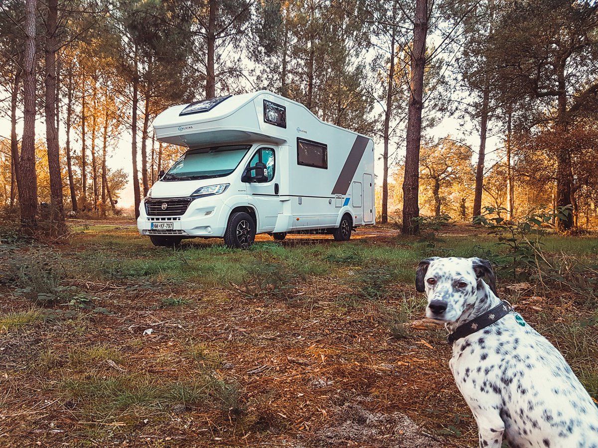 SunLivingUK's tweet photo. Is it spring yet?? #explorenewspaces #gettingout #explore #camping #motorhome #vanlife https://t.co/OY6ng0ROch