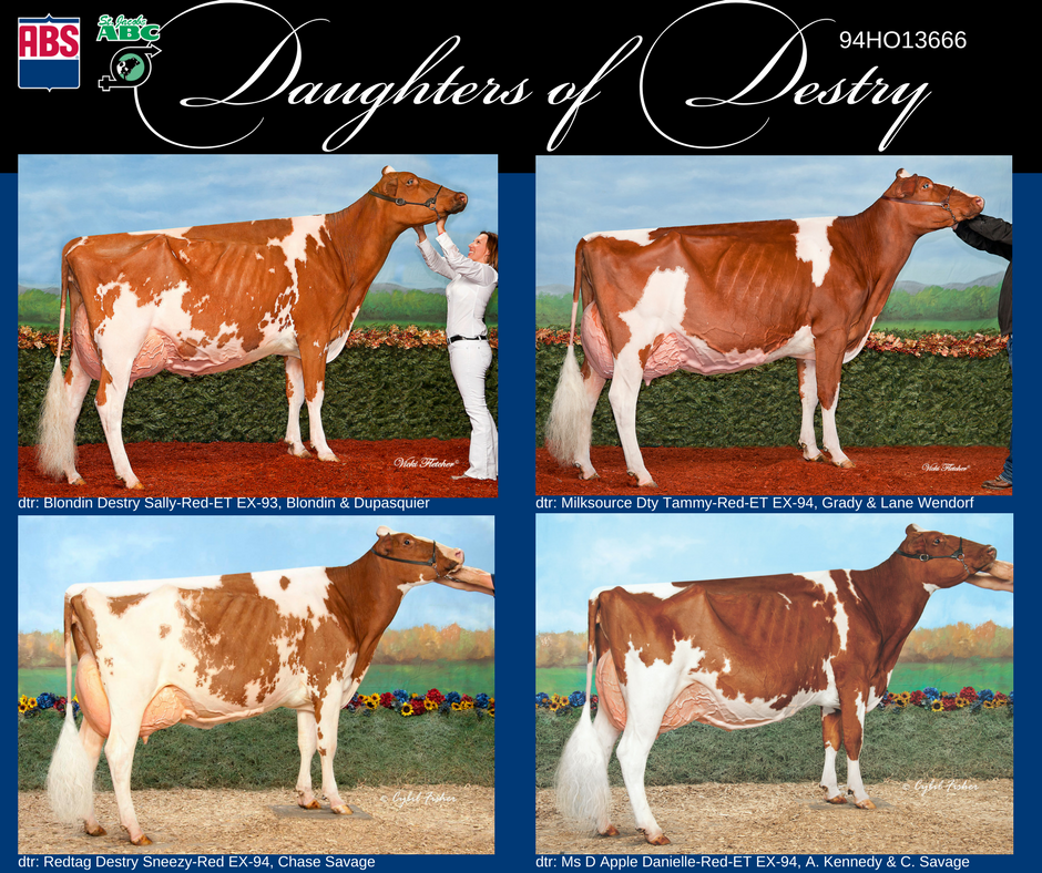 St. Jacobs ABC tweet media