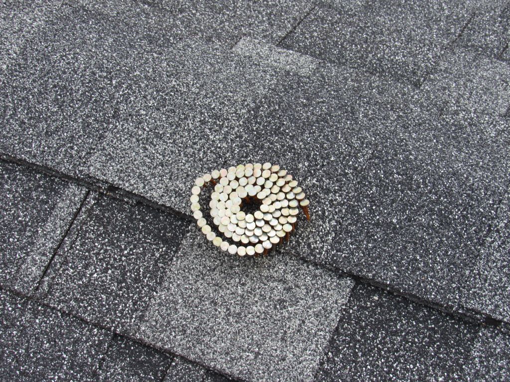 DylanChalk1's tweet image. New construction: clean all the fasteners and construction debris off of the roof. #safetyhazard #candamagetheroof #homeinspection