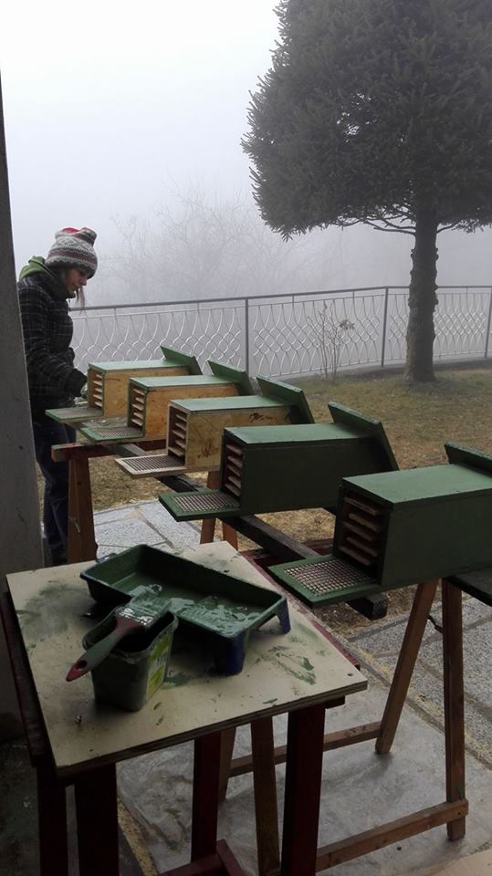 YESBAT1's tweet photo. #YESBAT tomorrow is the big bat box day! Everything is (almost) ready! So exciting! @BarillaCFN @StampaCnr #BCFNYes https://t.co/Up4ZIp0EBY