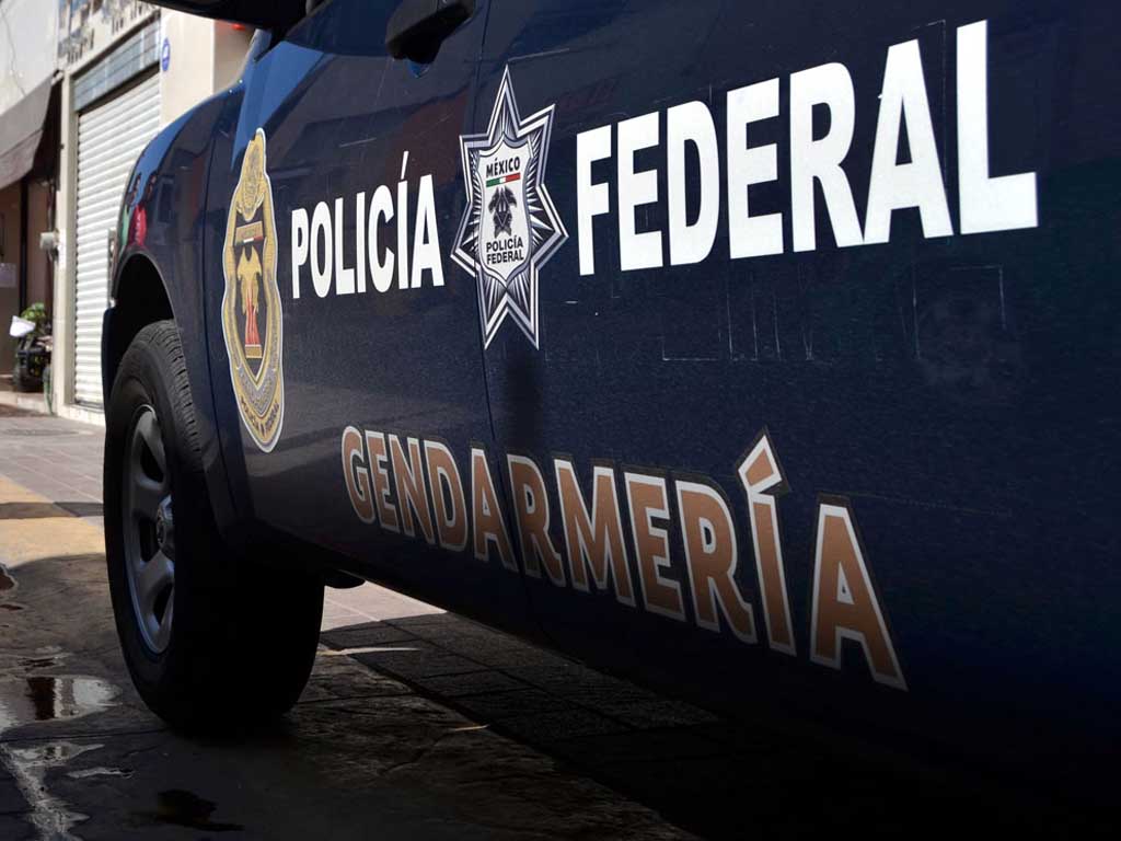 Detectan patrullas CLONADAS en Veracruz, Puebla y Tlaxcala. Noticias en tiempo real