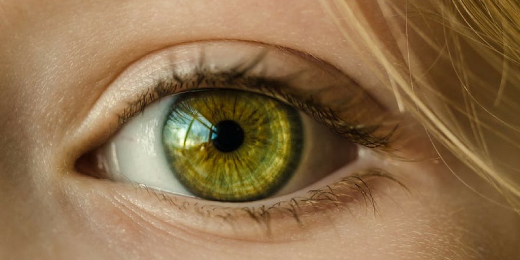 Precious_Cells's tweet image. Could cord blood stem cells restore vision for patients suffering from macular degeneration? ow.ly/RfGH30iPiwq 
#stemcells #cordblood #eyedisease