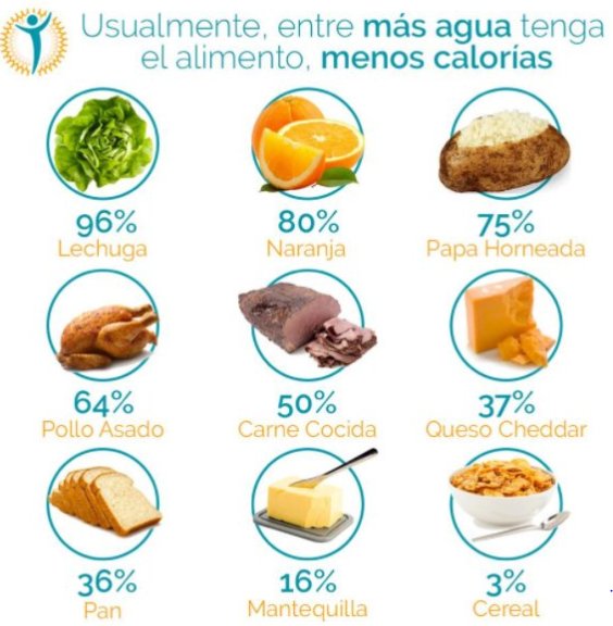 ¡Piérdele el miedo a la papa! Según un estudio reciente la papa se encuentra en tercer lugar con respecto a su contenido de agua con un 75%. En cambio la lechuga ocupa el primer lugar con un 96% de agua.