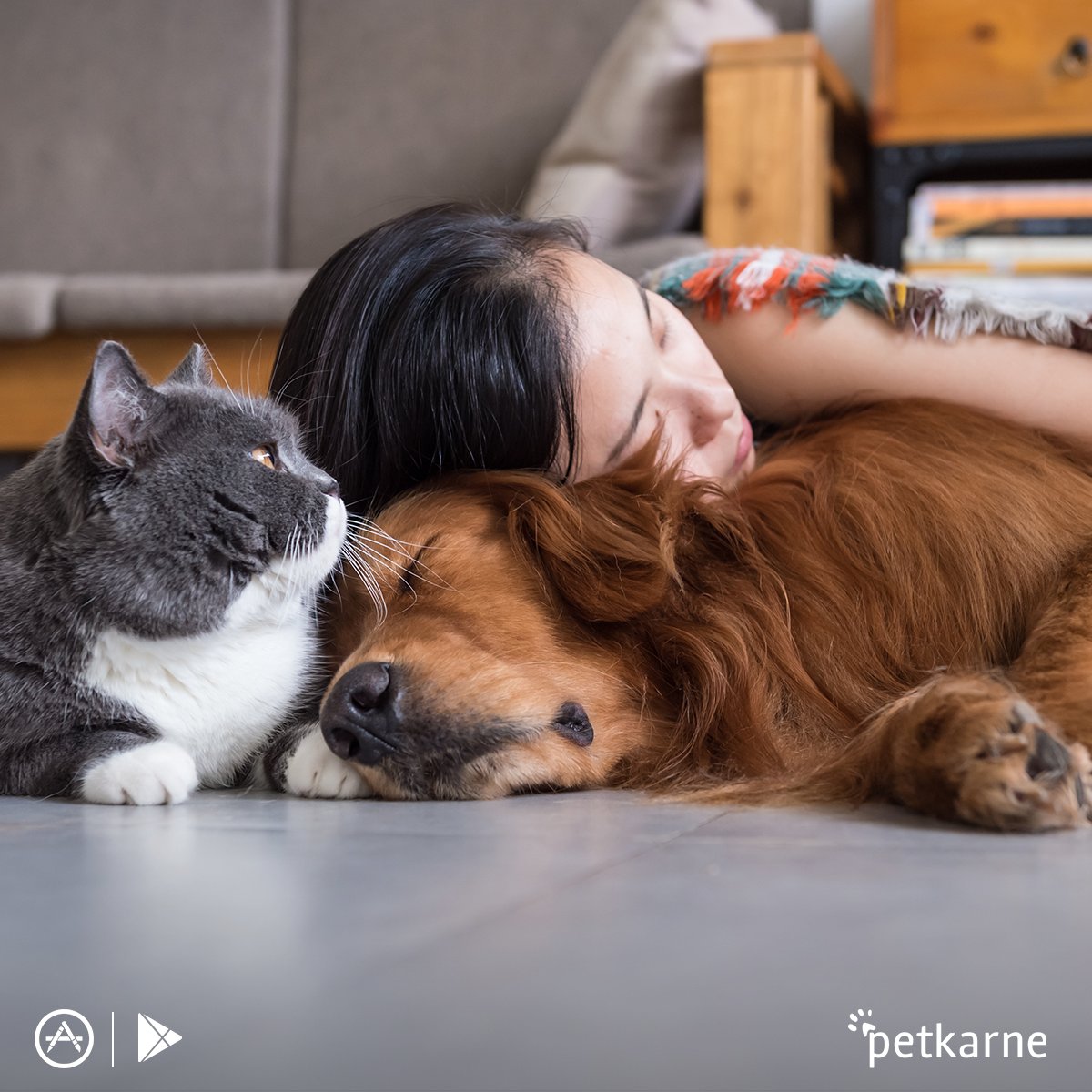 petkarne's tweet photo. Yoğun geçen günün ardından en güzeli eve gelip bizimle tüm stresinden uzaklaşmak değil de nedir? 🐱🐶❤️ https://t.co/Vgvc9ExjoU