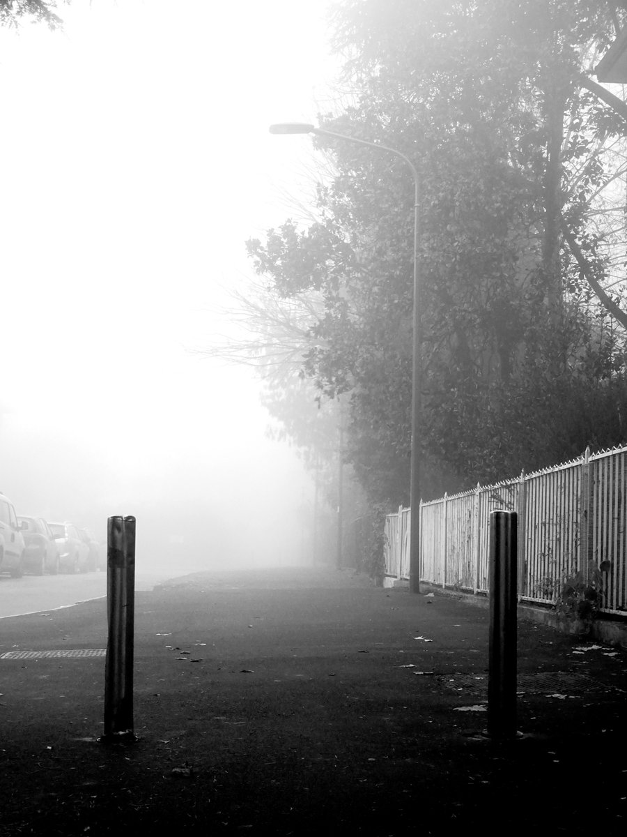 Quando tornerò
sarà notte fonda
Quando tornerò 
saranno mute le cose
Nessuno m'aspetterà
in quel letto di terra
Nessuno m'accoglierà 
in quel silenzio di terra
(Goliarda Sapienza)

#8Marzo #NonSoloRosa <a href="/CasaLettori/">Casa Lettori</a>