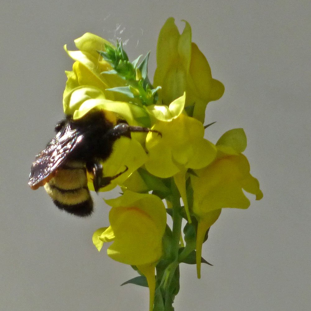 NewMexicoNomad tweet media