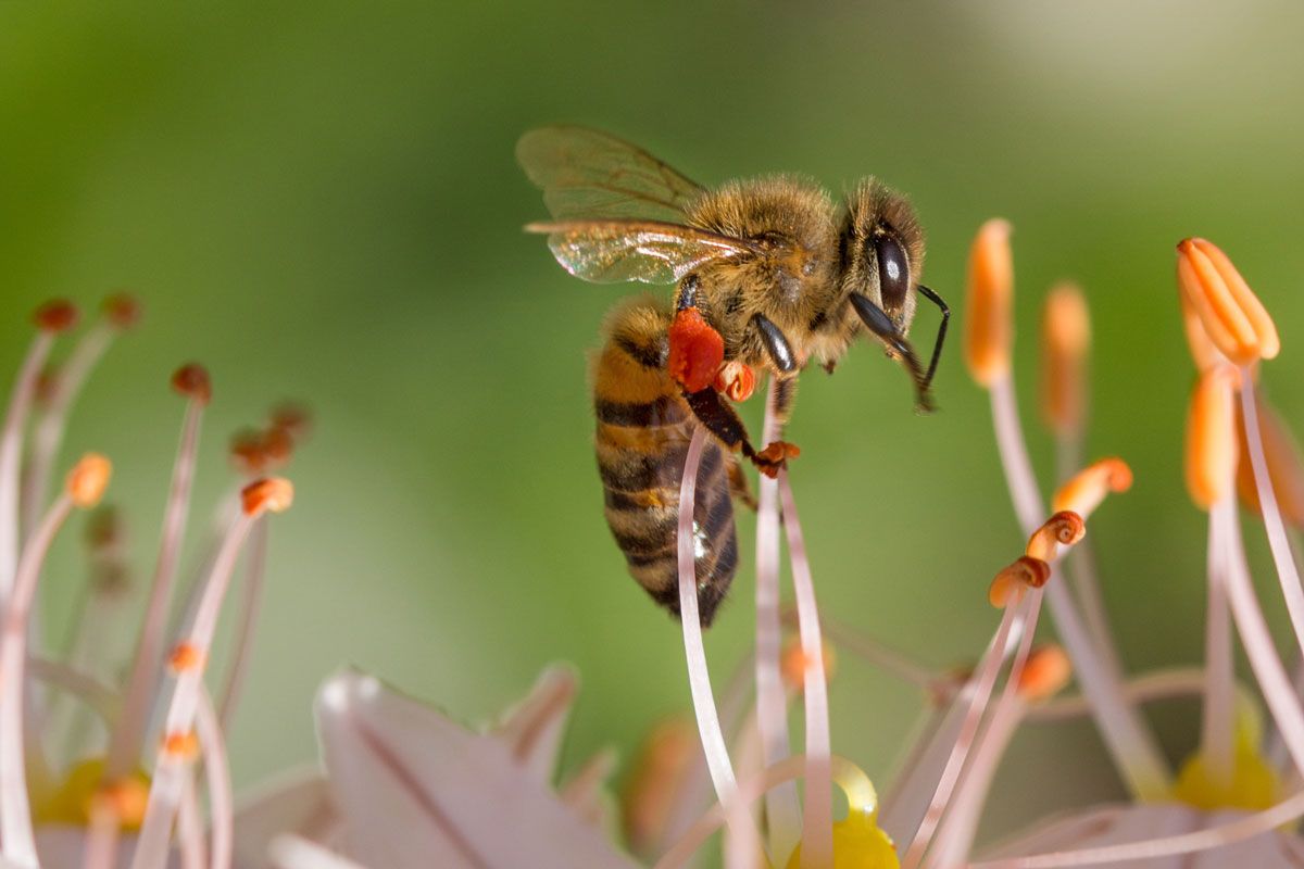 irefeurope's tweet photo. #CashImpact : Après avoir fait preuve d’une honnêteté intellectuelle toute relative lors de sa dernière émission sur la crise laitière, Élise Lucet récidive en traitant du sujet des #pesticides.
Des chiffres manipulés, un traitement biaisé => https://t.co/aKPuIz6KUC https://t.co/23uQsbWN6f
