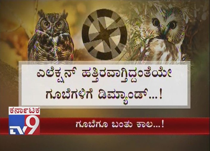 tv9kannada's tweet photo. Owl Is In Full Demand, Politicians Buying It For Lakhs Believing In Superstition, Police Arrest The Owl Dealers At Chamrajanagar

Click Here ► https://t.co/o3UwMDupxg

#Owl #DemandForOwl #LakhsOfPriceForOwls #PoliticiansBuysOwls #Goobe #Gube #Chamrajanagar #Kollegala https://t.co/AfkpdhEpRg