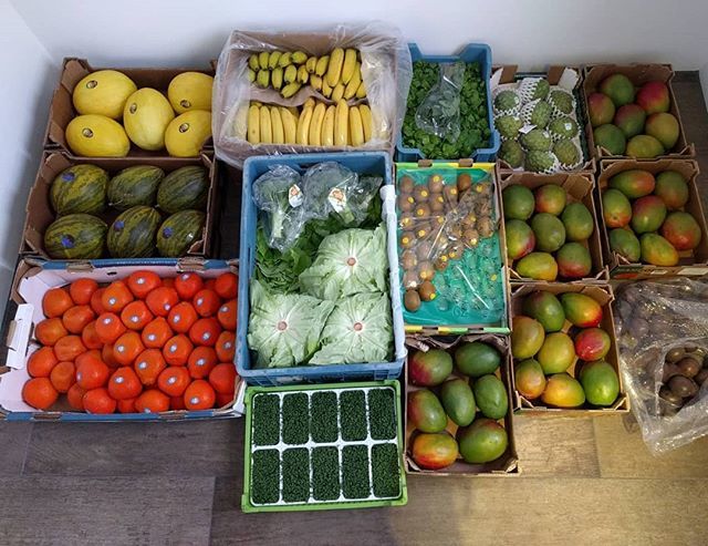 mostlyraw's tweet photo. #thursdayfruithaul #fruitstash #fruithaul #plantpower #hclfmrw #wholesale #fruitarian #amsterdam #peacefulwarrior #brainwarrior got a crate of butterhead lettuce, box of bananas, yellow canary melons, piel de sapo melons, minneolas, garden cress, purslan… https://t.co/T5ndZNt2SK https://t.co/jpwqb4hwYC