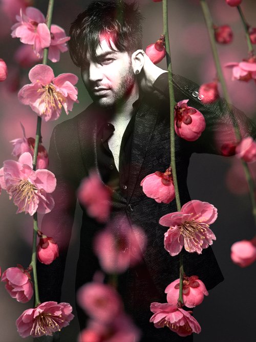 Dissolve in your heart a huge garden,
Turn it into a greenhouse.
And let each tired stray look
Through your image he admires it .... 🌺🌷❤🌹🌸

Happy holiday, beautiful  #glamily
Eternal SPRING in the soul and in the heart !!! 💓🌸💓🌸💓

#AdamLambert💖 #glamberts