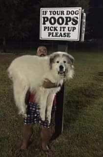 KevinMoyes's tweet image. The sign said "Pick it Up Please" 🐶🐕😉👍