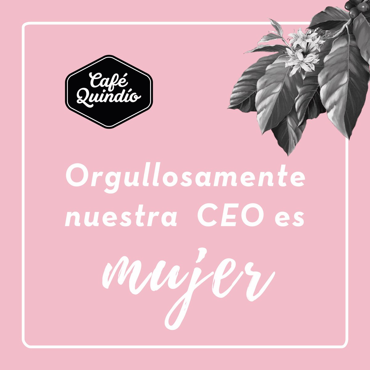 Café Quindío tweet media