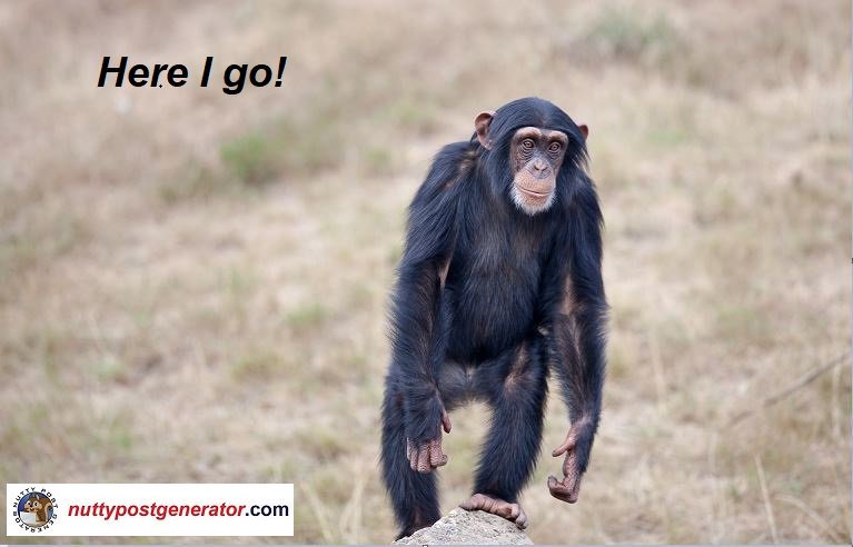 NuttyPostGen's tweet photo. All that really belongs to us is time; even he who has nothing else has that. *Solve someones problem and get paid each time for that service!* #RT #BrandMarketing #TwitterMarketing #workfromhome #transparent #Makeyourownlane #networkmarketingbusiness #SEM #travel #DigitalSee https://t.co/Xv5YlT6Qev