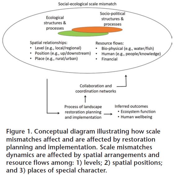 SaylesJS's tweet photo. Check out new paper: Understanding soc-ecol scale mismatch is critical for effective estuary restoration. Mismatches affect flows of human, financial &amp; nat capital. https://t.co/sBPqDQIdcn https://t.co/R3JfHM8b9A