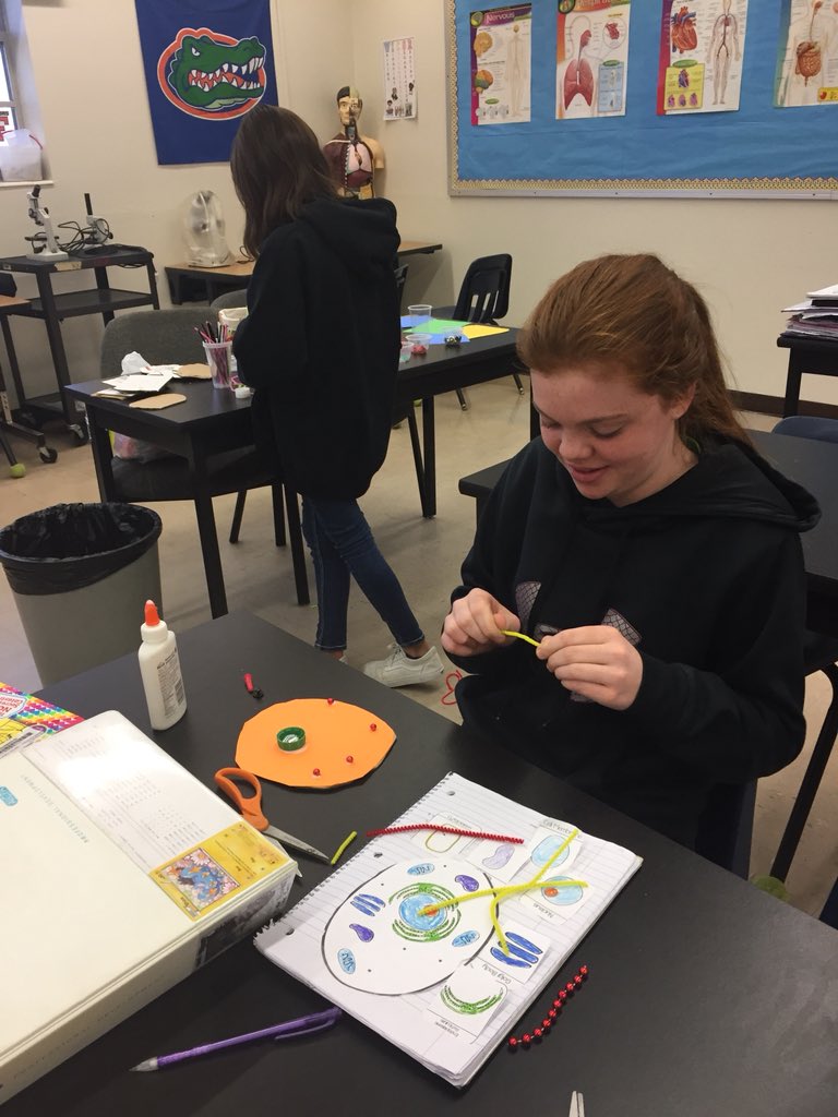 SandyPopeLMS's tweet photo. Students are making models to show what they know about cells.  Stay tuned for the finished product. #WeAreLMS #panthersscience https://t.co/3LoWTOBubR