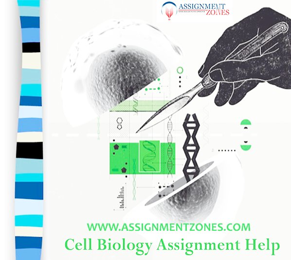 AssignmentZones's tweet image. A Quantity of various types of varieties related with cells can be found on the Earth. And to know the quantity, you can submit more information by assignment at Assignmentzones.
goo.gl/wQepsH
#CellBiologyHomeworkHelp
#CellBiologyAssignmentHelp
#CellBiologyProjectHelp