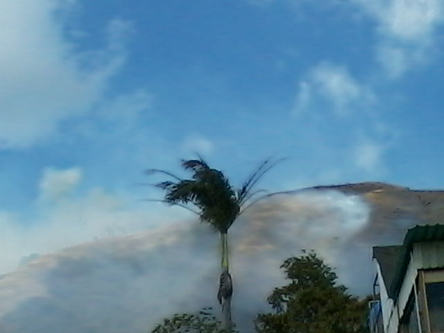 Ver imagen en Twitter