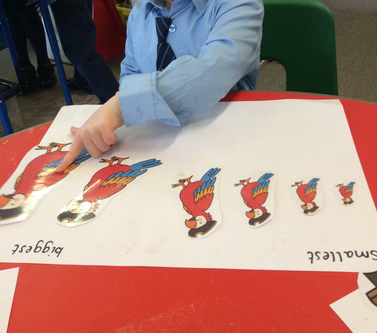 Class 1 had so much fun hunting for treasure then putting it in size order!  <a href="/BrewoodStMarys/">St Mary's Brewood</a>