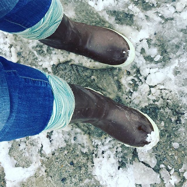 Alaska_Reads's tweet photo. What shoes do you take on a book tour in southeast Alaska? Just these. #alaskareads #juneau https://t.co/pLRIicML0V