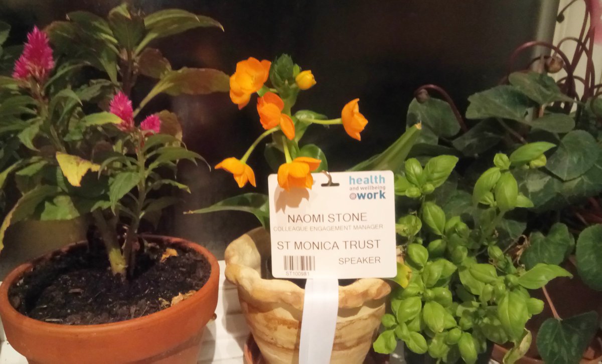 St_Monica_Trust's tweet photo. Naomi Stone, our Colleague Engagement Manager has recently been speaking at the Health and Wellbeing at Work conference on "The Benefits of Bringing Nature into the Working Day". #WellbeingatWork #plantsatwork #natureatwork @HWatWork #Healthatwork2018 https://t.co/xh7of2885g