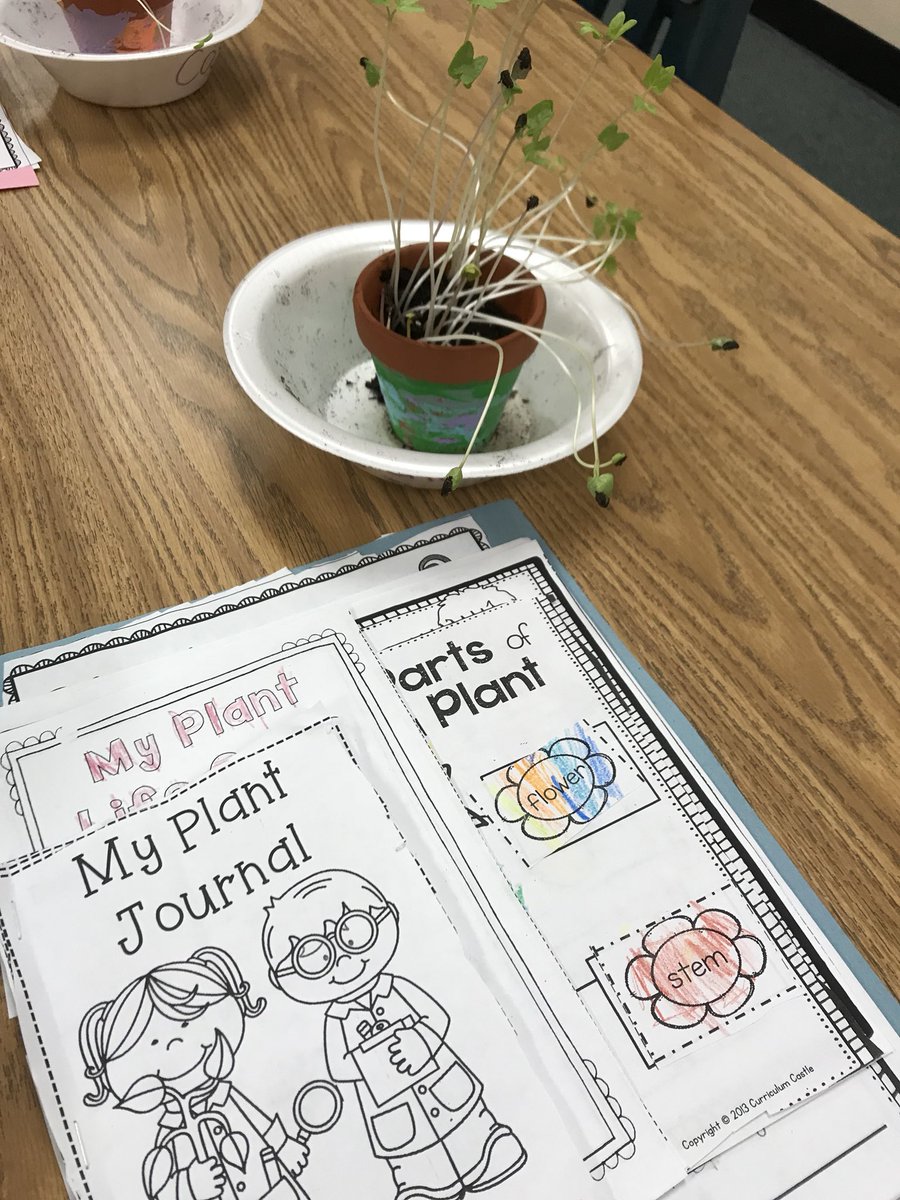 We are {blooming} learning about plants! 🌱<a href="/SkaggsElem/">Skaggs Elementary</a>