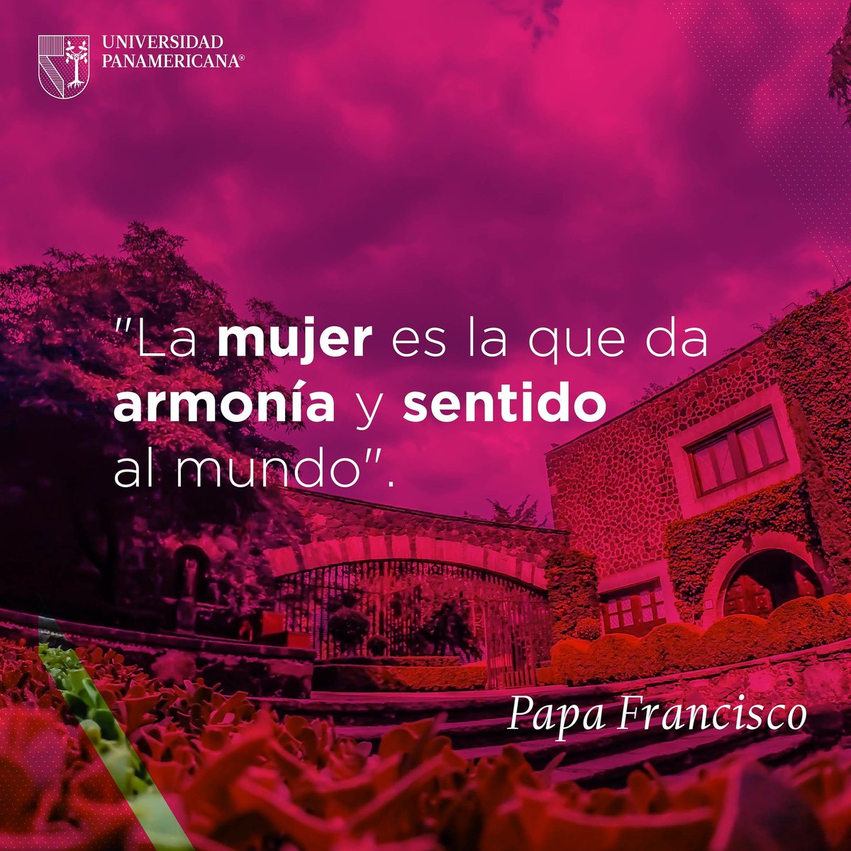 #DíaInternacionalDeLaMujer Este día nos impulsa a seguir construyendo un mundo mejor.