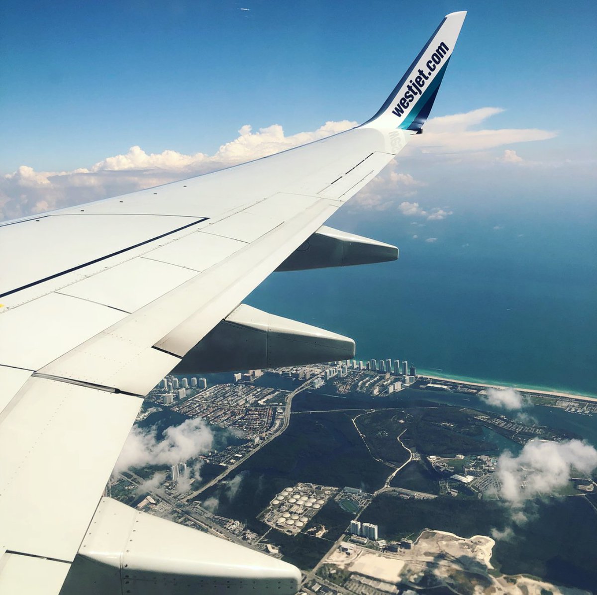 HarringtonDecor's tweet photo. Just one more quick visit 😉✈️#guesswhosback #backagain #heygirl #miami #florida #2weeks2long #quickgetaway #again #westjet #wing #interiordecorating #interiordesign #worldtraveller #stampmypassport #bringonthesunshine #harringtoninteriors https://t.co/mzLDsfklFq