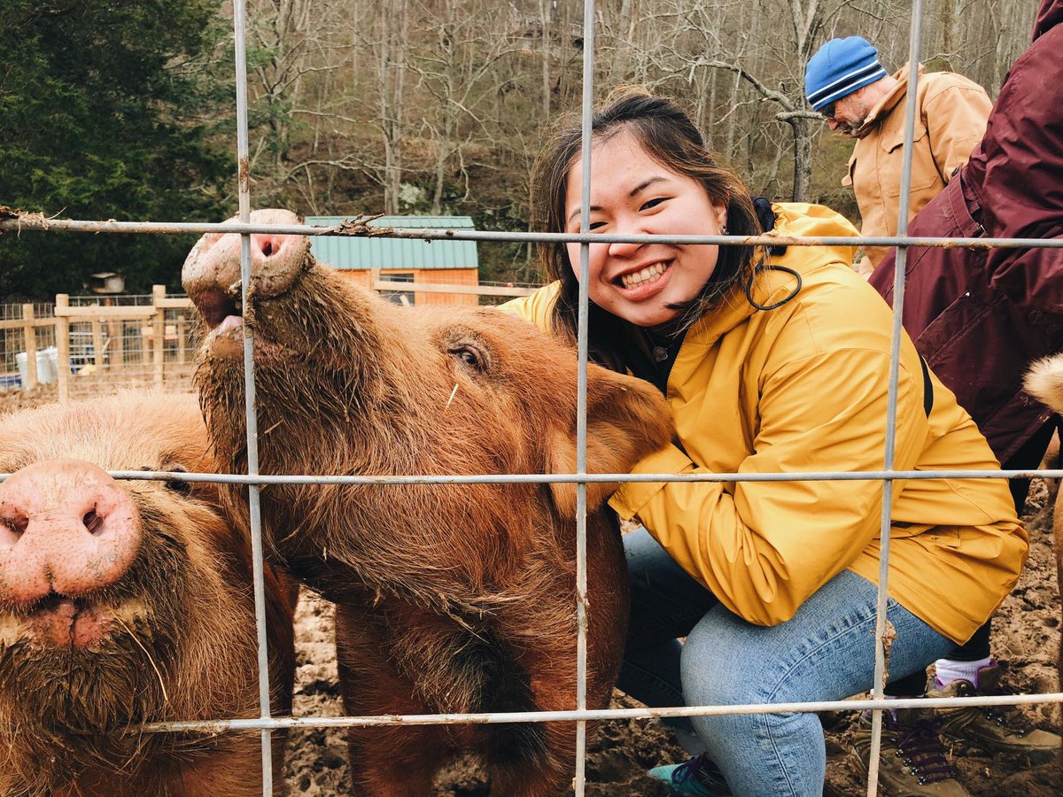 As part of <a href="/BUASB/">Alternative Service Breaks</a>, Sabrina McDonnell (CAS'20) is spending her spring break volunteering at <a href="/BrotherWolfAR/">Brother Wolf Animal Rescue</a>, an animal rescue organization in #Asheville, #NorthCarolina. Follow <a href="/ApplyToBU/">BU Admissions</a> on <a href="/Snapchat/">Snapchat</a> to get a look at her experience: snapchat.com/add/applytobu #TerrierTakeover