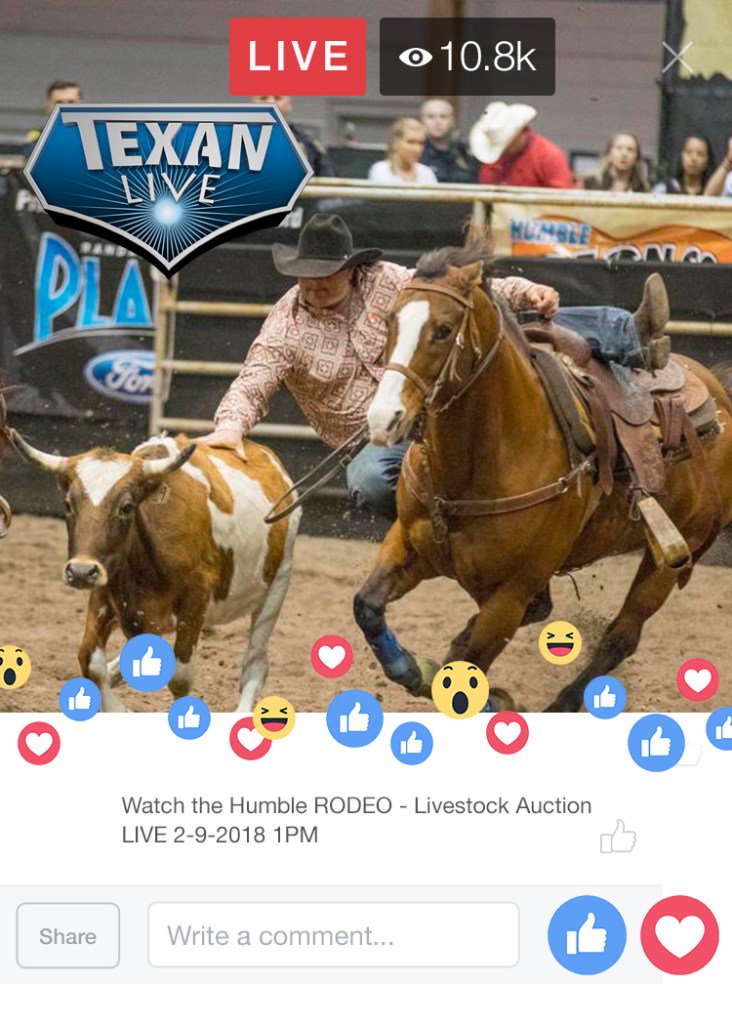 zype's tweet image. Head over to the blog to check out how Zype customer Texan Live takes advantage of #live #multicasting: zype.com/live-multicast…