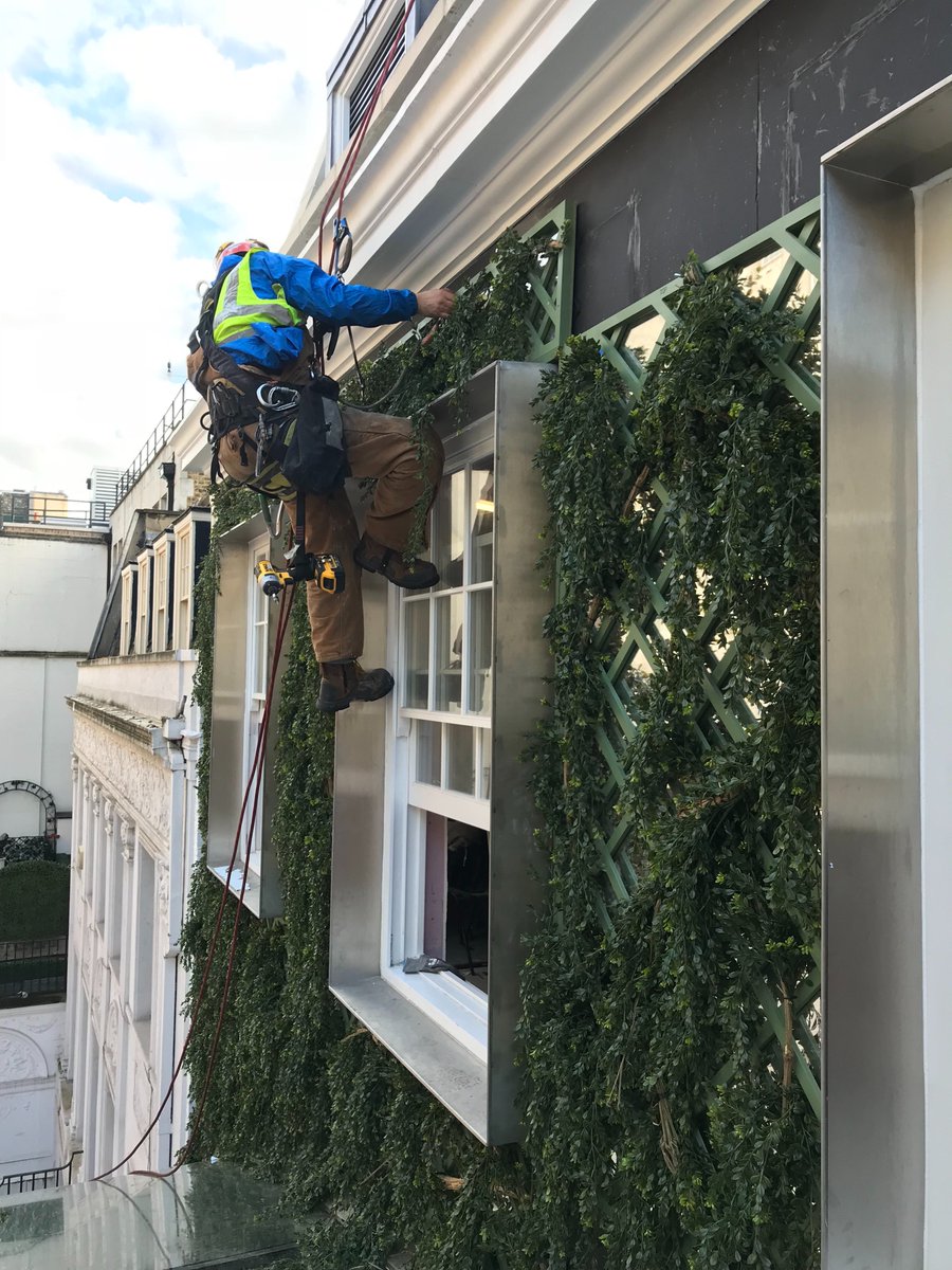 MachAbseiling's tweet photo. Quick turn around to install this wall garden in mayfair for the opening of a this very VIP members  club. Your project Our solution - Mach @MachAbseiling  Email: info@machabseiling.co.uk https://t.co/pBGCuBkcZ2