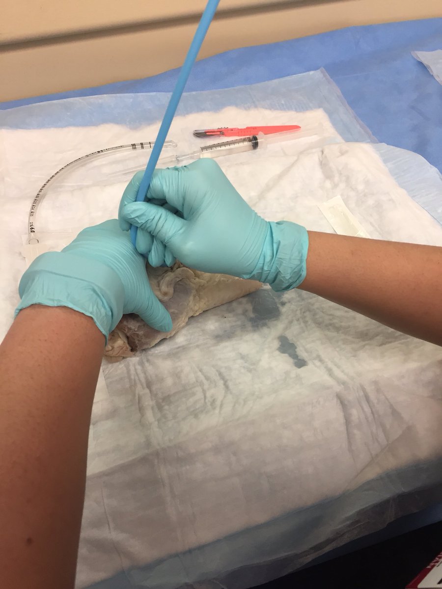 DRitterMD's tweet photo. Airway sensei @MikeSteuerwald teaching knife and needle crics in the sim lab today #modelhands #pigtracheas https://t.co/IuU9bVDDvB