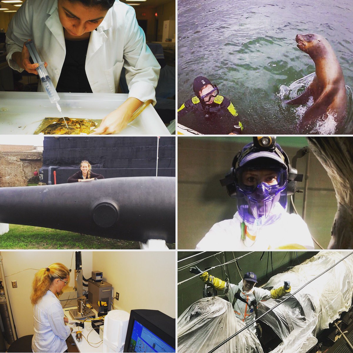anna_funke's tweet photo. Here is to all the amazing international ladies at the Warren Lasch Conservation Center #InternationalWomansDay #WomenInScience 🇨🇱🇮🇹🇫🇷🇩🇪🇺🇸 https://t.co/DXKHXVljJg