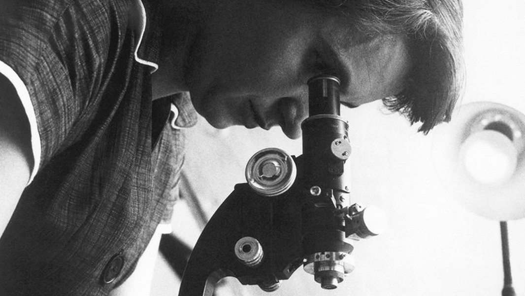 This International #WomensDay, let's resolve to ensure that the contributions of female scientists don’t remain a hidden history bit.ly/2HgZzLH [Sponsored by <a href="/JNJInnovation/">Johnson & Johnson Innovation</a>] #ChampionsofScience #IWD2018