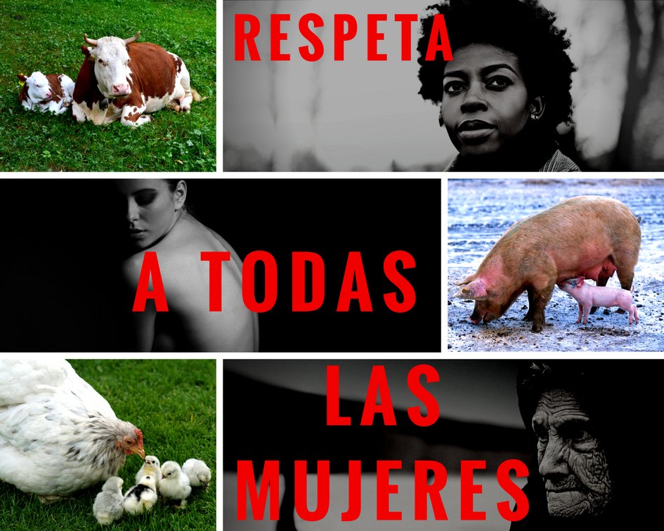 re_vegan's tweet photo. If you are in favor of the fight for women's rights, raise your voice for ALL women and not just for some #GoVegan ✊

#Vegan #ReVegan #Vegans #womensday #internationalwomensday #women #woman  #animalrights #womensrights  #animallovers https://t.co/KXI3o5z5kq