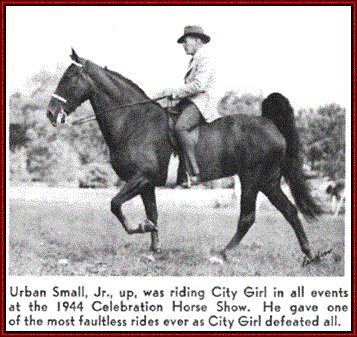 TWHAC's tweet photo. #TBT to the 1944 Tennessee Walking Horse World Grand Champion "City Girl." #tennesseewalkinghorse #tennesseewalker #TWHNC https://t.co/t2hZ6ICKq3