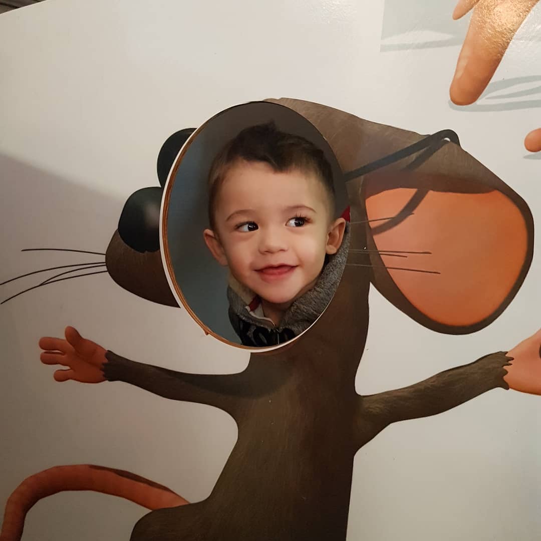 Ontunacceptable's tweet photo. This little guy lights up my life !!!! #familyfirst #norfolk #secondmouse #Delhipride #cheeselady https://t.co/og1gWgDVeW