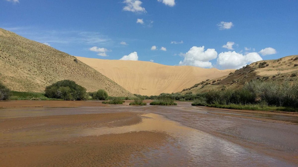 Даваасүрэнгийн Энхбал (@enkhbal1) on Twitter photo 